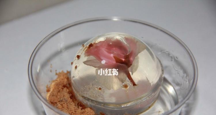 轻松学做水信玄饼（美味又简单）  第1张