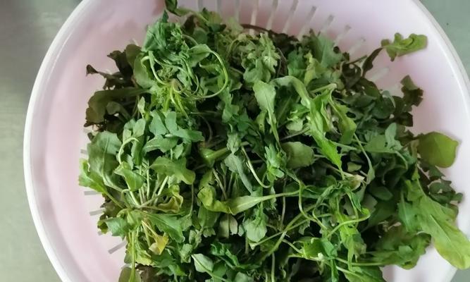 清炒荠菜的制作方法（美味又健康的春季蔬菜）  第1张