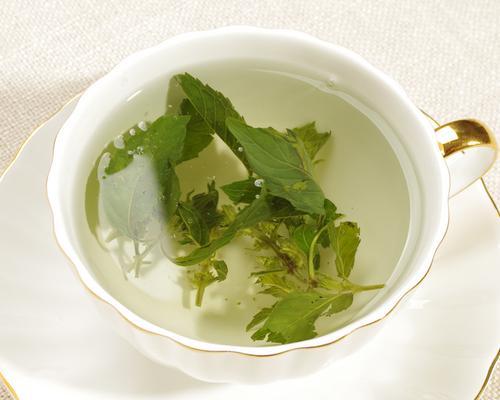 百香果蜂蜜薄荷茶的制作方法（清凉夏日）  第1张