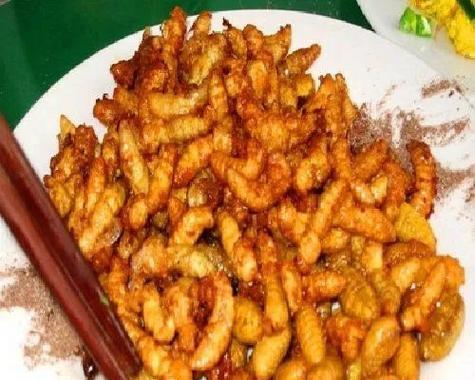 美食分享（探索美味的蜂蛹世界）  第1张