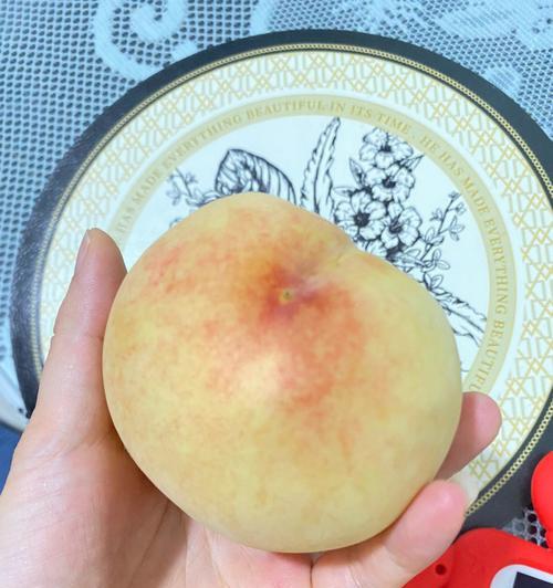 如何制作美味鲜榨水蜜桃果汁（健康生活从这杯果汁开始）  第1张