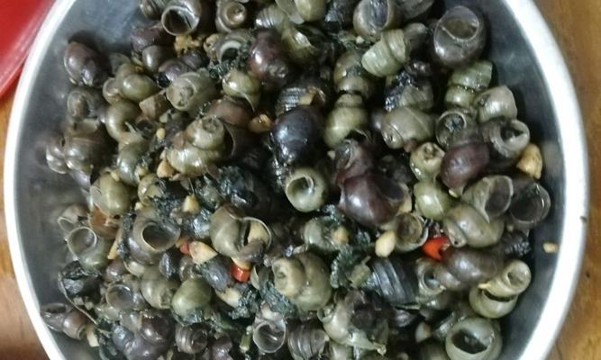 清爽美味的鲜笋炒紫苏（一道简单易学的家常菜）  第1张