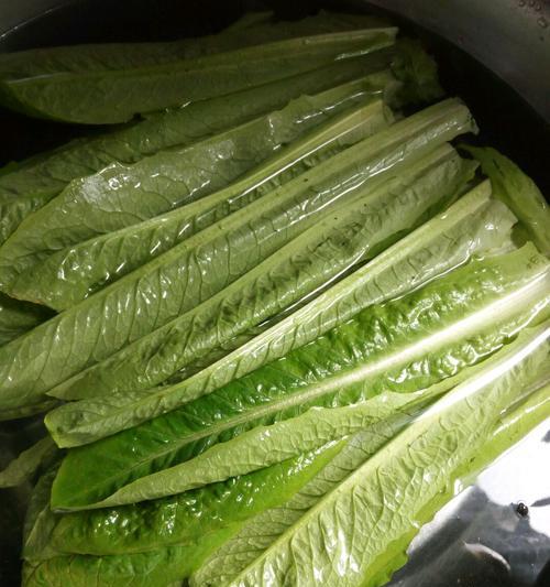 手把手教你做以鲜肉青菜大包（美味的北方特色美食）