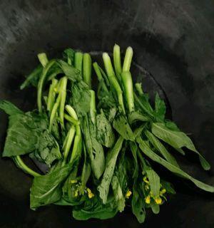 清爽美味，以水煮菜心做法大全（15种做法让你变身厨房小达人）