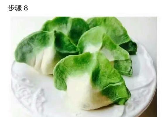 手把手教你制作香嫩多汁的生煎百财饺子（用肉馅）  第3张
