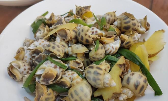 尝鲜美食（新奇美味的虫类食品）  第1张