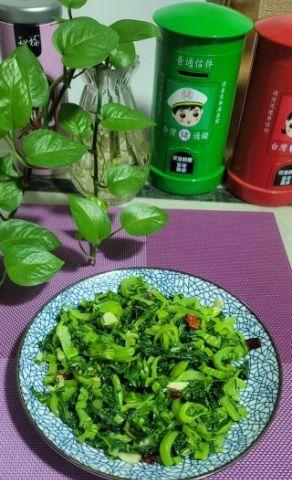 怎样才能做出美味的生炒水东芥菜（学会这些技巧）  第1张