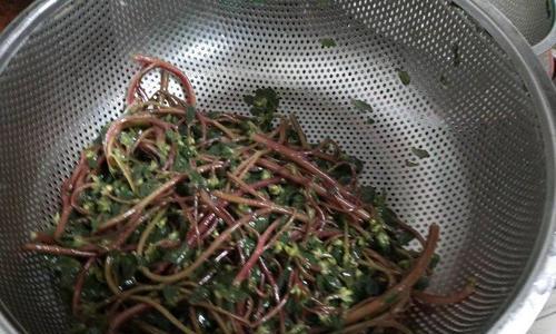 美味肉烧干马齿笕（以猪肉为原料）  第1张