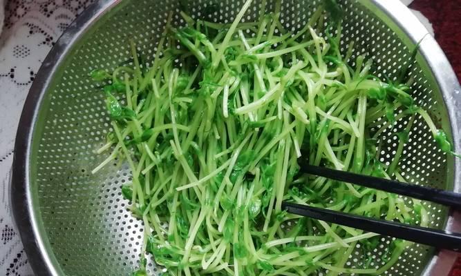 手把手教你做肉片炒豆苗（清爽又美味的家常小菜）  第1张