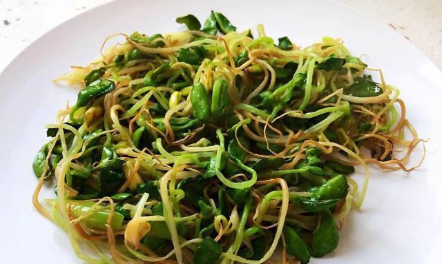 清炒黑豆苗（营养丰富的菜品）  第2张