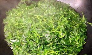清炒草头，美味简单又营养（以草头为主角）  第1张