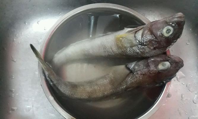 刮鱼鳞好方法（快速轻松）