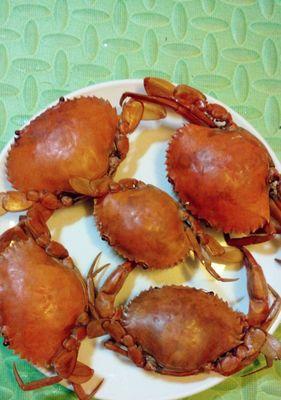 咸蛋黄焗青蟹，享受美味的海鲜盛宴（美味青蟹与咸蛋黄的完美结合）
