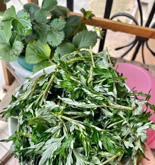 清明果青团子的制作方法（传统美食的制作工艺及注意事项）  第3张