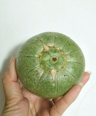 清爽夏日必备，自制青甜瓜冰棍（简单易做）