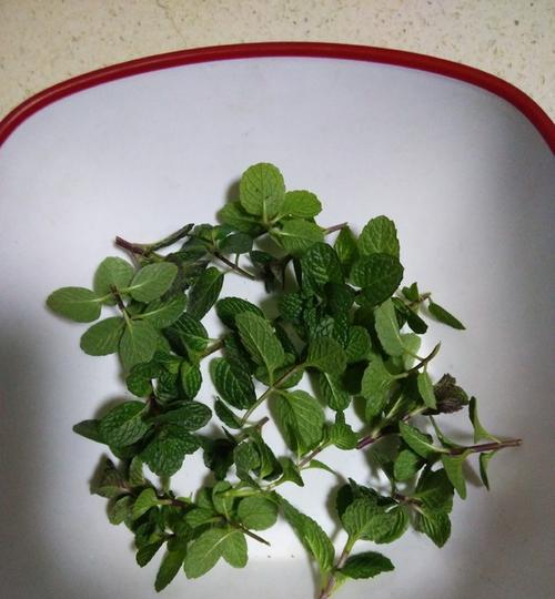 青柠薄荷茶的制作方法（清新怡人的夏日饮品）  第2张