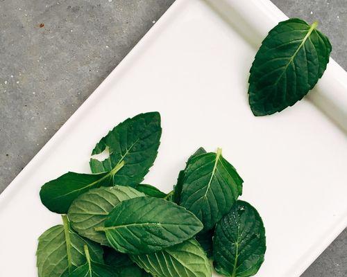 青柠薄荷茶的制作方法（清新怡人的夏日饮品）  第3张