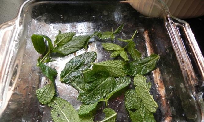 清爽美味的青柠薄荷酱油虾（用新鲜食材打造口感独特的美食）  第2张