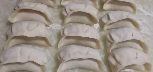 学会做青椒猪肉馅饺子，让你的口感更丰富（自制饺子）  第1张