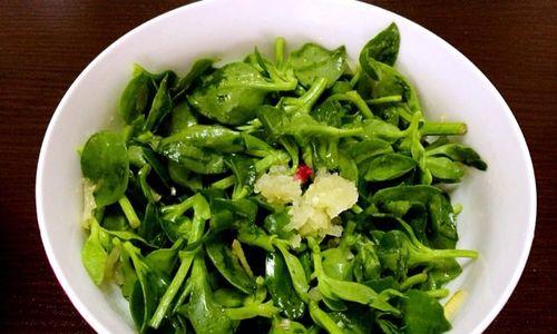 拌穿心莲怎么做？拌穿心莲的正确做法是什么？  第3张