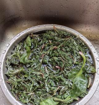 拌白蒿怎么做？拌白蒿的正确步骤是什么？