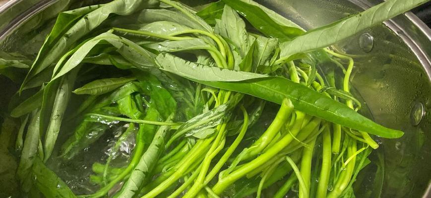 白灼空心菜怎么做？步骤和技巧有哪些？  第2张