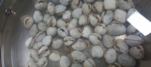 白灼花蛤怎么做？步骤和技巧有哪些？