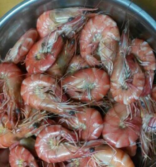 白灼斑节虾怎么做？详细步骤和常见问题解答？