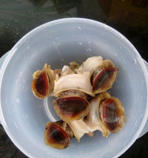 白煮海螺怎么做？步骤和技巧有哪些？  第3张