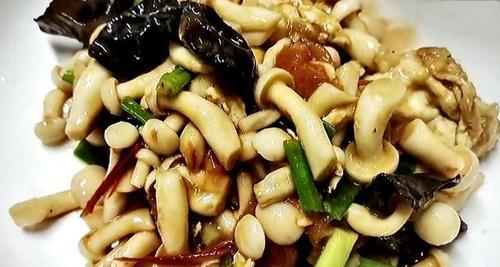 白玉菇炒肉片的做法是什么？如何炒出鲜嫩可口的白玉菇炒肉片？