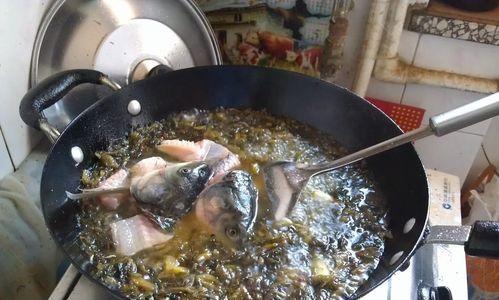 自制美味酸菜鱼的做法（口感鲜美，健康又营养，让你欲罢不能）  第3张