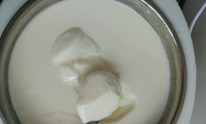 自制红枣酸奶怎么做？有哪些健康益处？  第1张