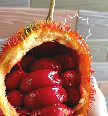 专治治治治治不吃菜的做法？如何让孩子爱上蔬菜？  第2张