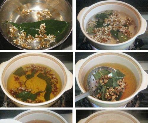 煮枇杷叶的做法是什么？如何正确煮制枇杷叶？  第3张