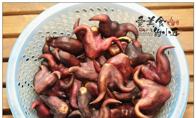 煮菱角怎么做才好吃？步骤和技巧是什么？