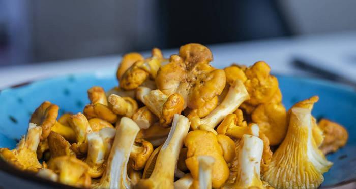 煮鸡油菌怎么做？步骤和技巧有哪些？  第3张
