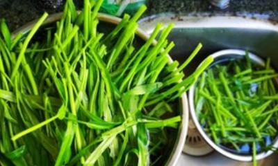 竹叶菜怎么做才好吃？有哪些创意食谱推荐？