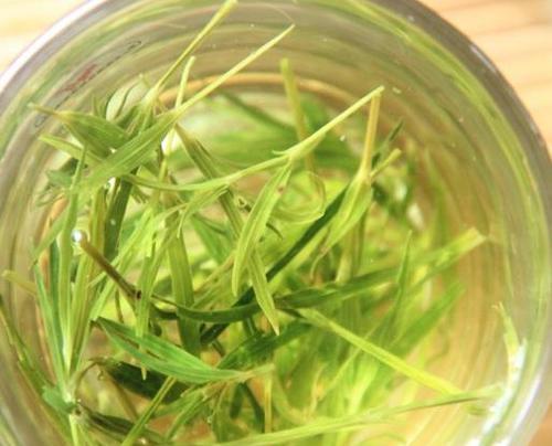 竹叶宝宝怎么做？有哪些简单易学的做法？