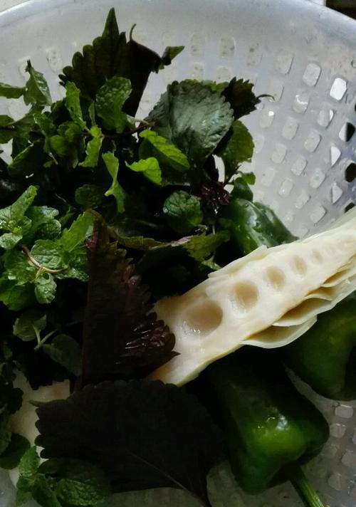 竹笋海带炖鸭怎么做？步骤和技巧有哪些？  第1张