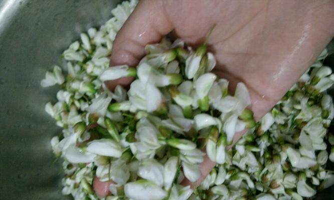 蒸槐花的做法是什么？如何蒸制槐花更美味？  第1张