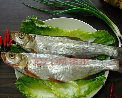 蒸洞庭风干翘白鱼的做法是什么？如何在家做出地道风味？  第3张