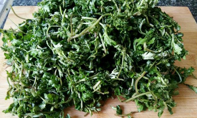 蒸艾叶的做法是什么？如何正确蒸制艾叶？  第2张