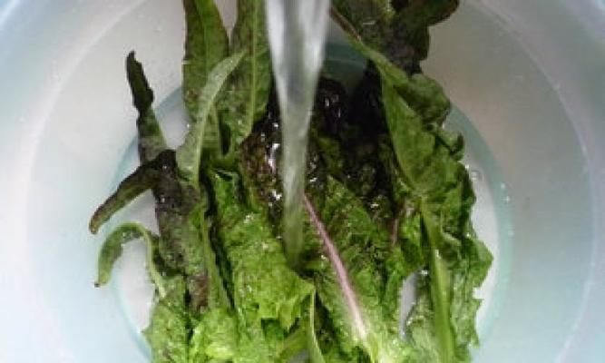 油盐莴笋叶怎么做？莴笋叶的家常做法有哪些？  第2张
