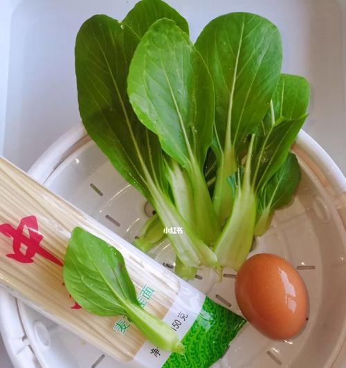 油菜面线怎么做？详细步骤和常见问题解答？  第3张