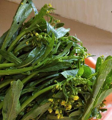 油菜花菇怎么做？油菜花菇的家常做法有哪些？
