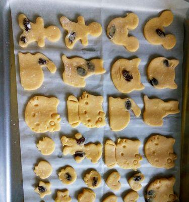 小动物饼干怎么做？详细步骤和常见问题解答？