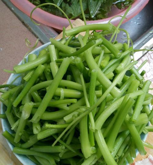 小炒南瓜苗怎么做？详细步骤和技巧是什么？