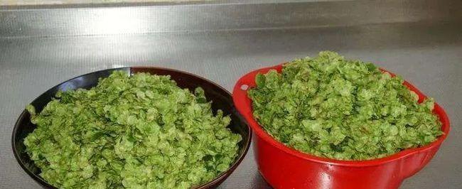 香椿炸酱玉子烧怎么做？步骤详解和常见问题解答？