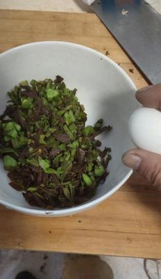 香椿芽炒鸡心怎么做？步骤和技巧是什么？  第2张