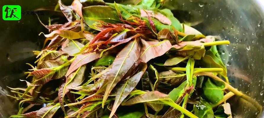 香椿芽拌豆干怎么做？步骤和技巧有哪些？